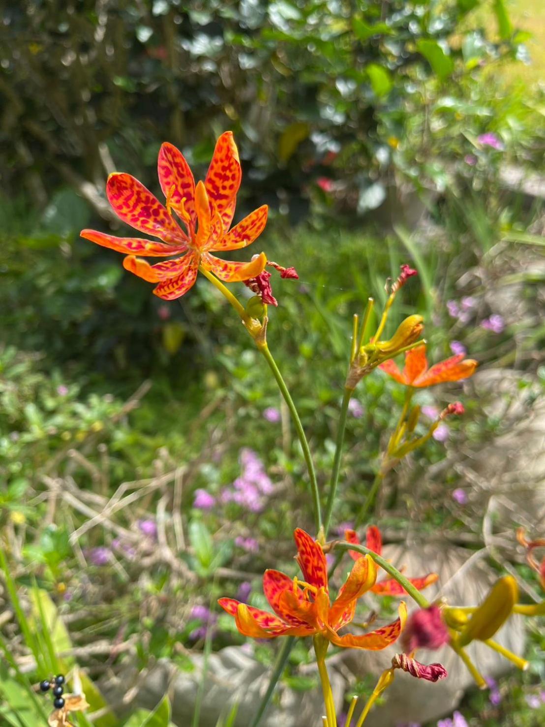 Xian Qing Yu Zhi Homestay 츠샹 외부 사진