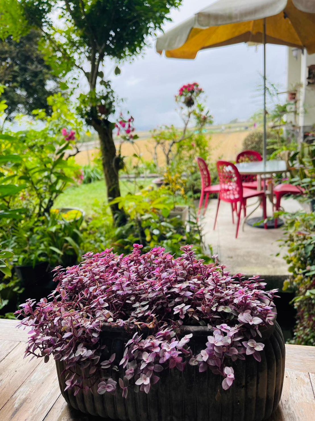 Xian Qing Yu Zhi Homestay 츠샹 외부 사진