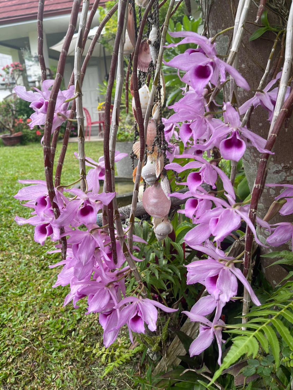 Xian Qing Yu Zhi Homestay 츠샹 외부 사진
